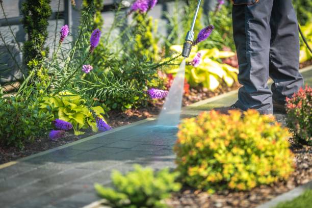Best Driveway Pressure Washing  in Alta Sierra, CA