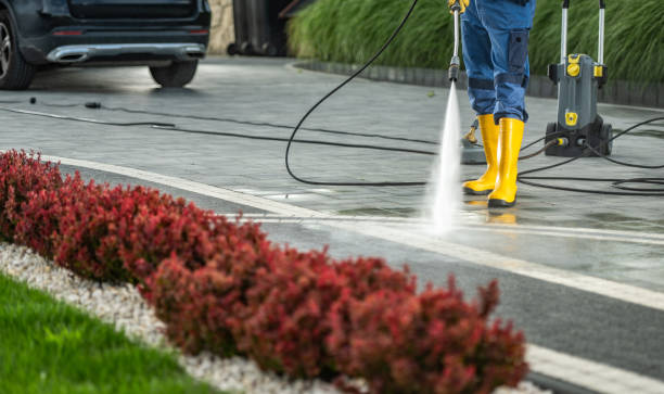 Best Animal Enclosure Cleaning  in Alta Sierra, CA
